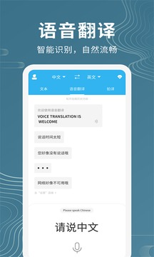 语音翻译