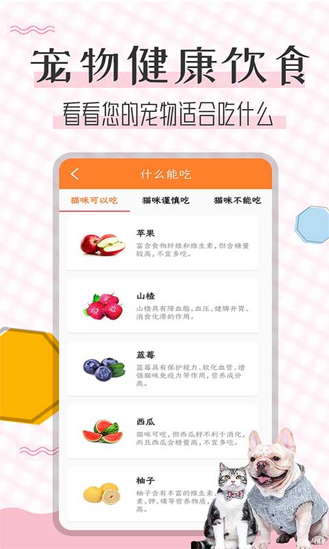 猫语翻译宝